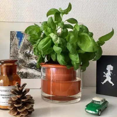 Pot en terre cuite intelligent – Wet Pot — photo 2