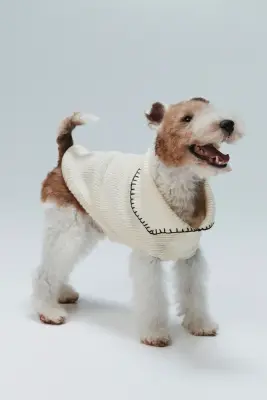 Pull pour chien en maille côtelée - Crème — photo 4