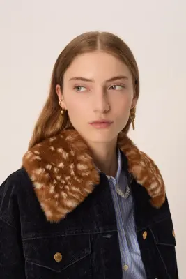 Col Mylo Fawn