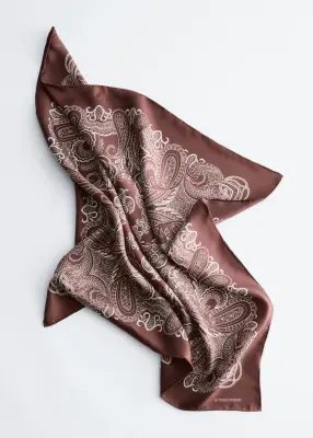 Foulard en soie à motif cachemire - Brun/Cachemire blanc — photo 2
