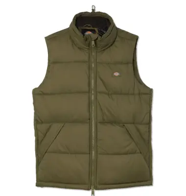 DICKIES WALDENBURG DOUDOUNE Kaki — photo 2