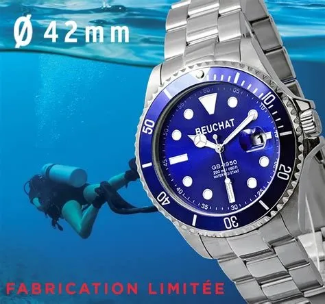 Montre wr 100 montre