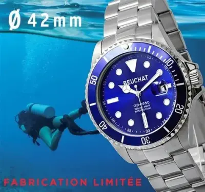 Montre wr 100 montre