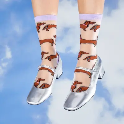 Chaussettes transparentes Teckel Coucou Suzette — photo 1