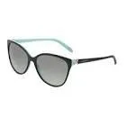 Lunettes tf 4089b