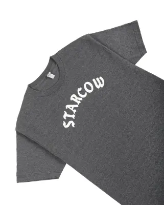 Arc Script Logo Tee Gris — photo 2