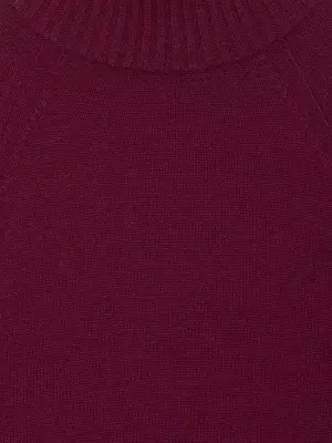 Pull col roulé en pur cachemire - Rouge foncé — photo 4