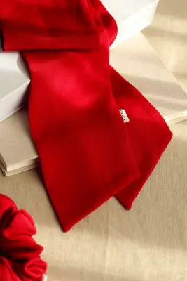 Ivy Thick Silk Headband Gift — photo 4