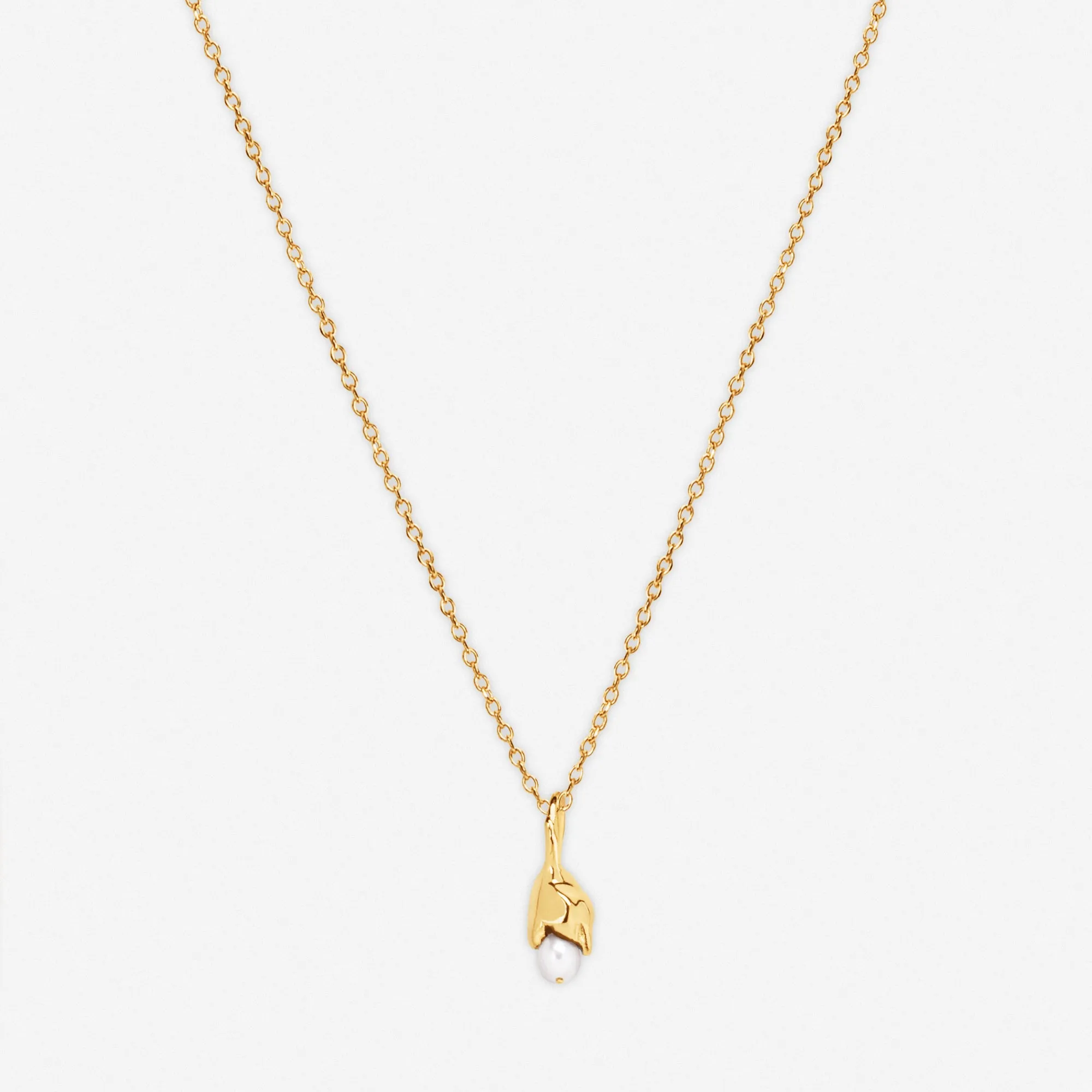 COLLIER SARAH