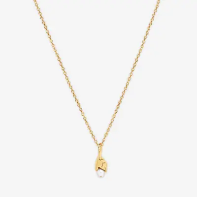 COLLIER SARAH