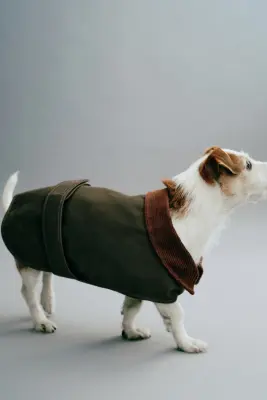 Manteau ciré pour chien - Vert kaki foncé — photo 3