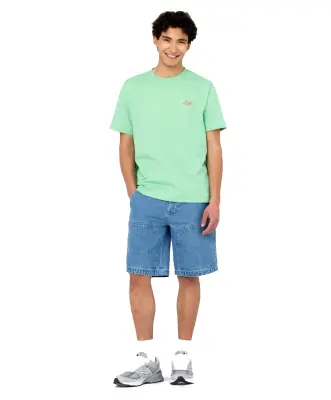 DICKIES MAPLETON TEE SHIRT Vert — photo 4