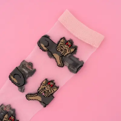 Chaussettes transparentes Yorkshire Coucou Suzette — photo 3