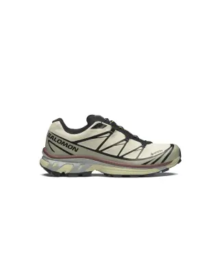 XT-6 GORE-TEX Aspargus Green/Tea/Bitter Chocolate — photo 1