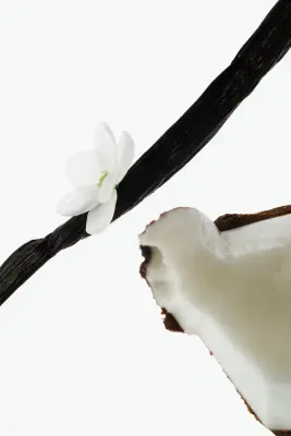 Coconut Escape body butter - Coconut Escape — photo 1