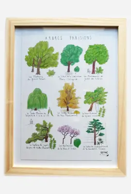 Affiche A5 Arbres Parisiens – Ellimac Pinson