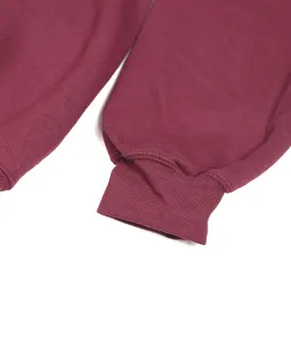 Paris City Hoodie Burgundy — photo 4