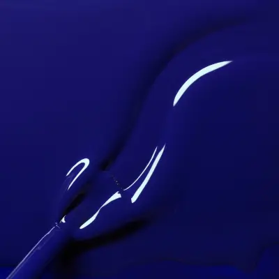 Vernis Green™ Navy Blue - bleu marine — photo 4