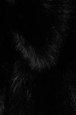 Veste zippée en fausse fourrure - Noir — photo 4