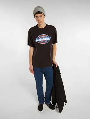 t-shirt Dickies mi-lourd Coolidge – black — photo 2