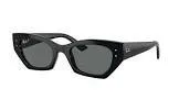 Lunettes rb4430-6677/81