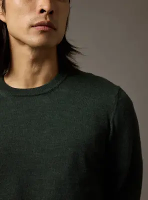 Pull Noliti Evergreen — photo 3