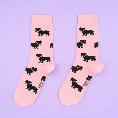 Chaussettes Staffie Coucou Suzette — photo 2