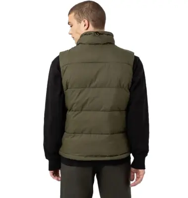DICKIES WALDENBURG DOUDOUNE Kaki — photo 4