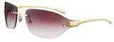 Lunettes de soleil panthere ct0068s