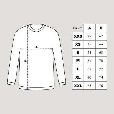 SWEAT SHIRT - COTON BIO BRODÉ - BASTILLE - GRIS — photo 5