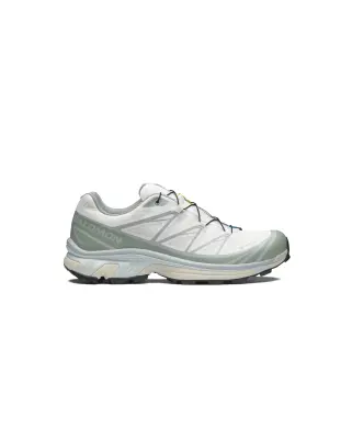 XT-6 GORE-TEX White/Green Milieu/Ice Flow — photo 1