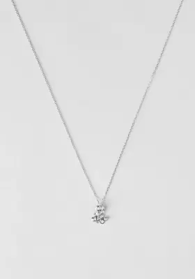 COLLIER LOUISON — photo 4