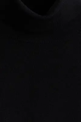Pull col roulé Regular Fit en laine mérinos - Noir — photo 5