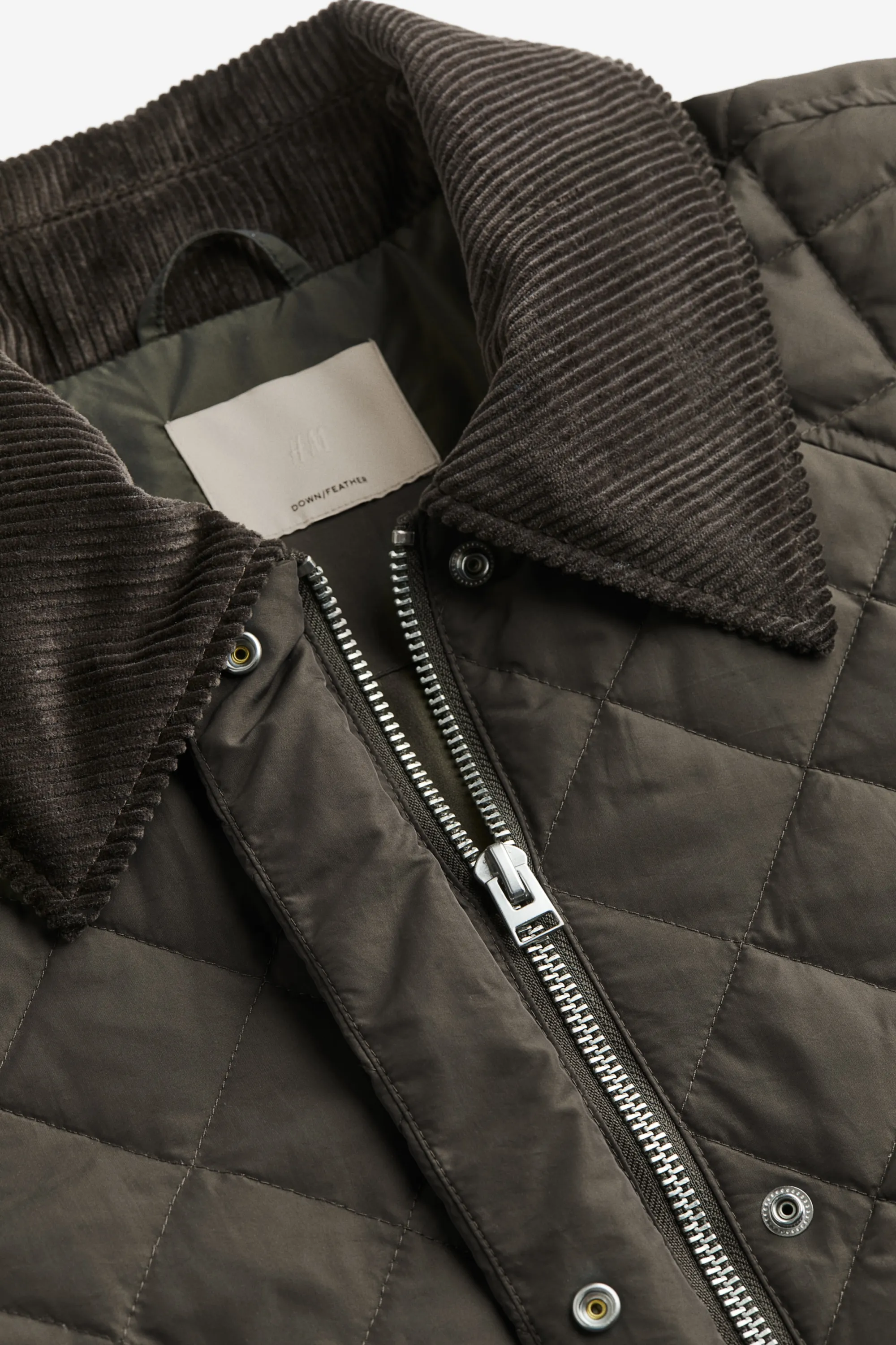 Manteau matelassé en duvet - Vert foncé
