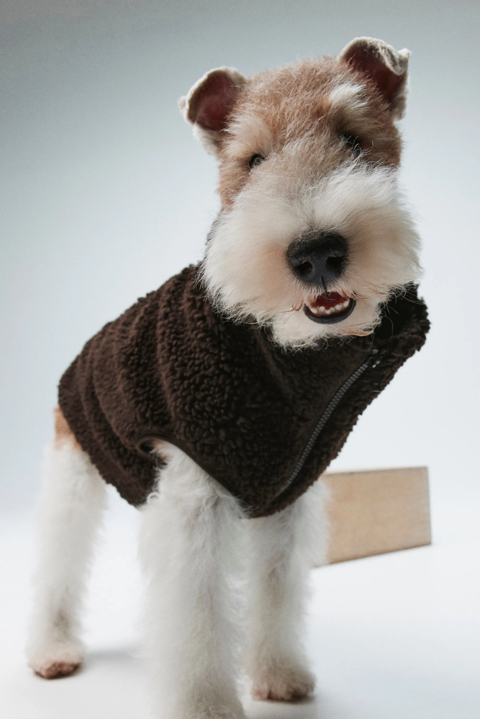 Veste pour chien en tissu Teddy bear - Marron foncé
