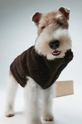 Veste pour chien en tissu Teddy bear - Marron foncé — photo 1