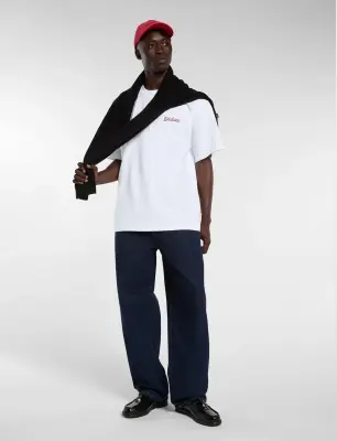 DICKIES BAGGY JEANS Brut — photo 4
