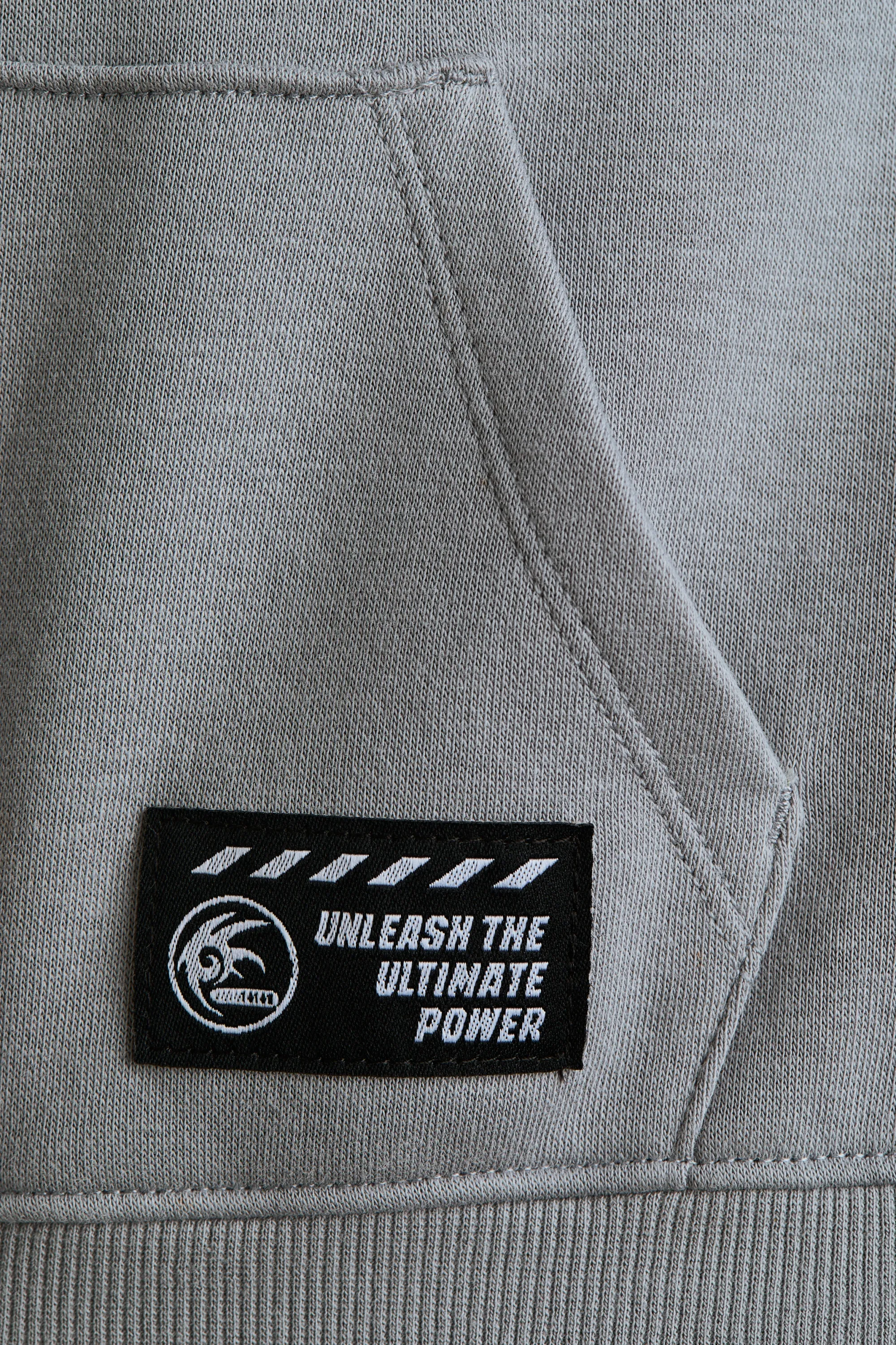 Hoodie imprimé à l'intérieur brossé - Gris/Sonic le Hérisson