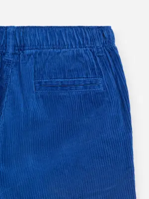 Pantalon en velours côtelé - Bleu — photo 2