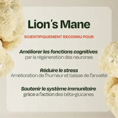 Café Focus Lion’s Mane – Holi Mushie — photo 5