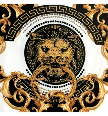 T-shirt ZOOM FLIGHT lion — photo 2