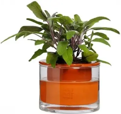 Pot en terre cuite intelligent – Wet Pot — photo 4