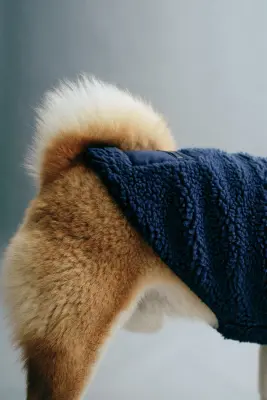 Manteau pour chien en tissu Teddy bear - Bleu foncé — photo 2
