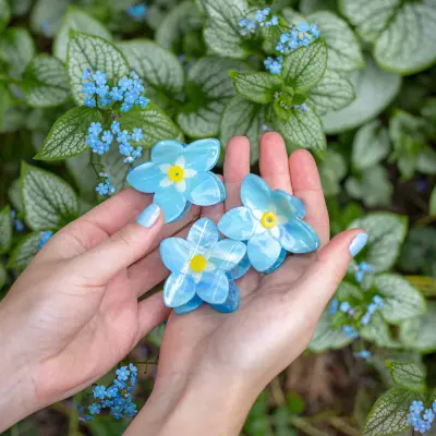 Pince à cheveux Myosotis Coucou Suzette — photo 3