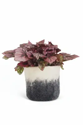 Cache-pot ombré en laine 14 cm – Aveva — photo 2