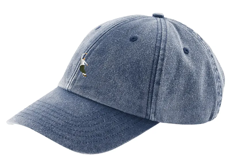 Casquette Magenta PWS Dad hat – Denim
