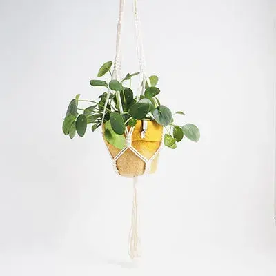 Suspension pour pot en macramé Nature – Aveva — photo 6