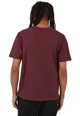 DICKIES MAPLETON TEE SHIRT Bordeaux — photo 5