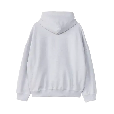 Adidas adiSignature Block Hoodie Light Grey — photo 2