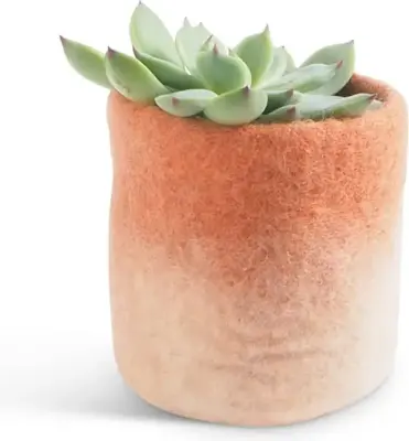 Cache-pot ombré en laine 8 cm – Aveva — photo 5